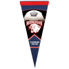 View Image 1 of 1 of Premium Pennant 8 inches x 18 inches