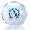 View Image 1 of 1 of Enterprise Octagon Acrylic Award - Full Color
