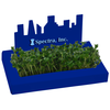 View Image 1 of 3 of City Line Sprout Box
