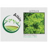 View Image 1 of 2 of Impression Series Seed Packet - Lettuce