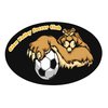 View Image 1 of 1 of Flat Flexible Magnet - Oval - 4" x 6"