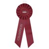 View Image 1 of 2 of Pleated Rosette - 11" x 4" - Double Streamer - Pin