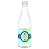 View Image 1 of 1 of Bottled Spring Water - 16.9 oz. - Designer Bottle