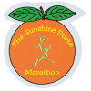 View Image 1 of 1 of Flat Flexible Magnet - Orange