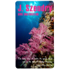 View Image 1 of 1 of Business Card Magnet - 30 mil - Round Corners - 24 hr