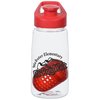 View Image 1 of 4 of Alpine Bottle with Flip Lid - 18 oz. - Floating Infuser