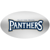 View Image 1 of 1 of Full Color Chrome Sticker - Oval - 2-1/2" x 4"