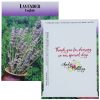 View Image 1 of 1 of Standard Series Seed Packet - Lavender