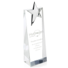 Zenith Award - Vertical Medium