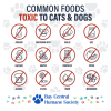 Toxic Food for Pets Magnet