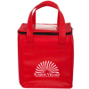 Non-Woven Cubic Lunch Cooler Bag With ID Slot