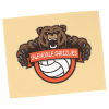 View Image 1 of 3 of Full Color Rally Towel