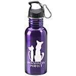 Stainless Adventure Bottle - 18 oz.