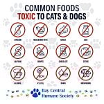 Toxic Food for Pets Magnet