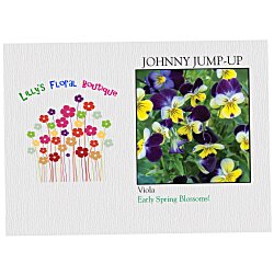 Impression Series Seed Packet - Johnny Jump-Up