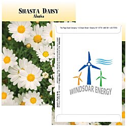 Standard Series Seed Packet - Shasta Daisy