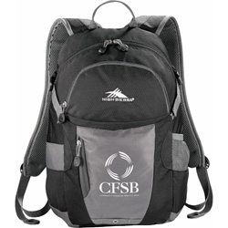 High Sierra Torsion Backpack  Main Image