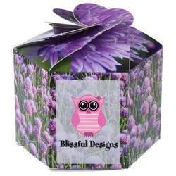 Pop Up Planter Kit - Chives