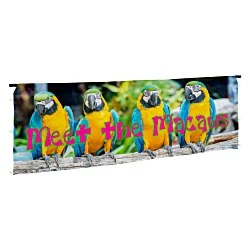 Premium 10' Event Tent - Half Wall Kit - One Sided - Full Color