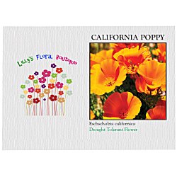 Impression Series Seed Packet - California Poppy