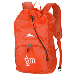 High Sierra® Synch Backpack  Main Image
