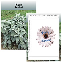 Standard Series Seed Packet - Sage