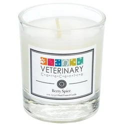 Zen Scented Votive Candle - 2 oz. - Berry Spice