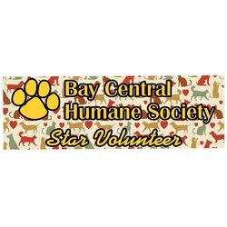 Full Color Static Decal - Rectangle - 1" x 3"