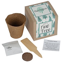 Growable Planter Gift Kit - Pine Tree