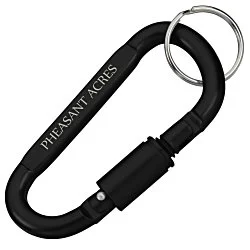 Carabiner Lock Keychain