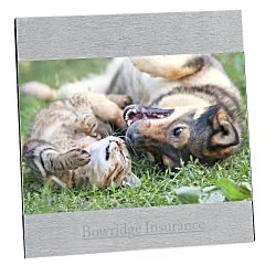 4" x 6" Brushed Aluminum Split Frame - 24 hr