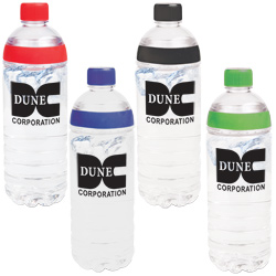 Double Twist Water Bottle - 20 oz.  Main Image