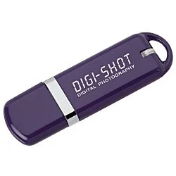 Evolve USB Flash Drive - 256MB - 24 hr