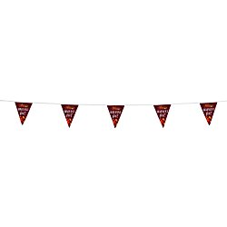 20' Triangle Pennant String - 12" x 9" - 11 Pennants - One Sided