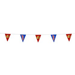 20' Triangle Pennant String - 12" x 9" - 11 Pennants - One Sided - Alternating