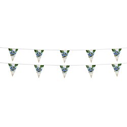 20' Triangle Pennant String - 12" x 9" - 11 Pennants - Two Sided