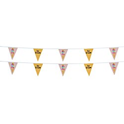 30' Triangle Pennant String - 12" x 9" - 16 Pennants - Two Sided - Alternating