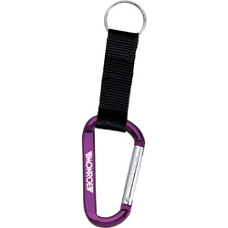 Carabiner Key Holder  Main Image