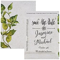 Watercolor Seed Packet - Sweet Basil