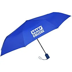 Executive Auto Open/Close Umbrella - 43" Arc