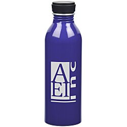 Level Aluminum Bottle - 17 oz.