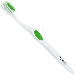 Adult Winter Accent Toothbrush