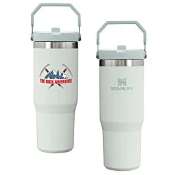 Stanley IceFlow Flip Straw Tumbler - 30 oz. - Full Color