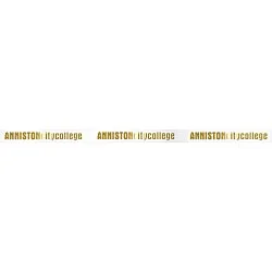 Grand Opening Ribbon Banner - 6 inches x 10 foot
