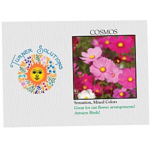 Impression Series Seed Packet - Cosmos Main Image