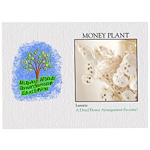 Impression Series Seed Packet - Money Plant Main Image