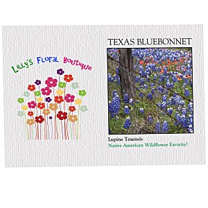 Impression Series Seed Packet - Texas Bluebonnet Main Image