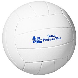 Full Size Synthetic Leather Volleyball Main Image