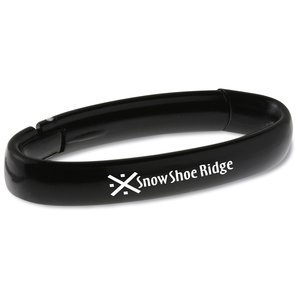 Oval Carabiner Main Image