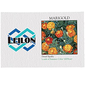 Impression Series Seed Packet - Marigold Main Image